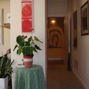 B&B Undici